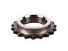 Zahnrad, Kurbelwelle Crankshaft Gear:11 31 7 502 180