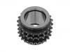Zahnrad, Kurbelwelle Crankshaft Gear:946 102 231 75